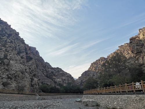 红玛瑙枸杞观光园
