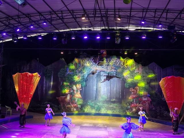 七彩海巢狂欢动物城