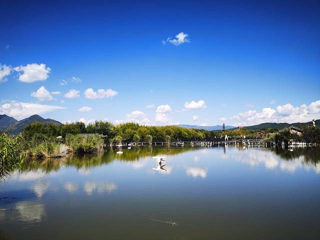 拉市海安尚马场