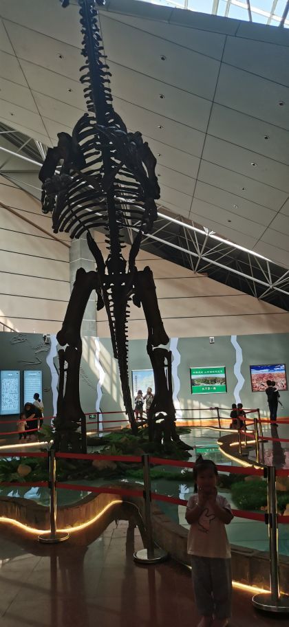 诸城恐龙博物馆