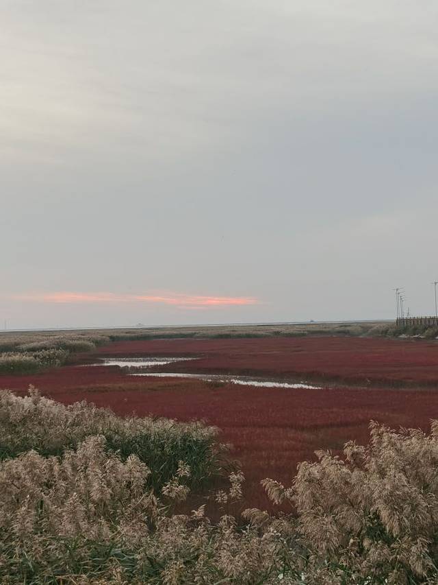 红海滩国家风景廊道