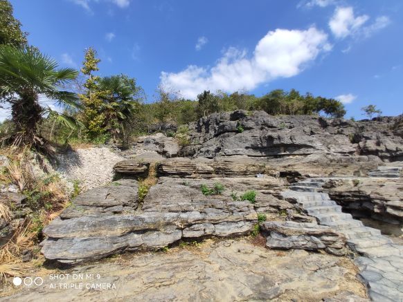 寒武纪石林景区