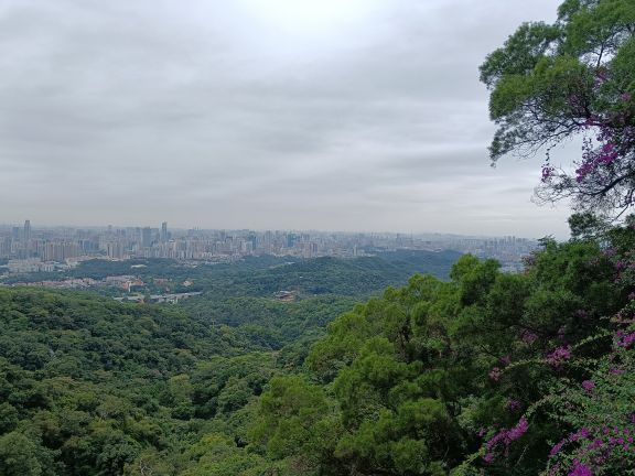 珠江夜游天字码头