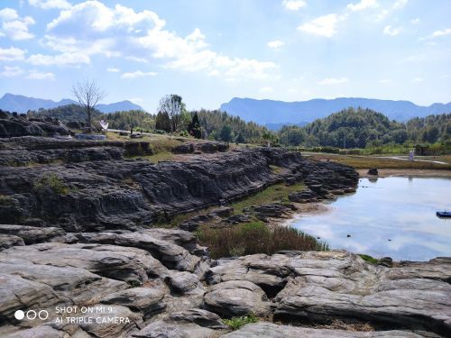 寒武纪石林景区