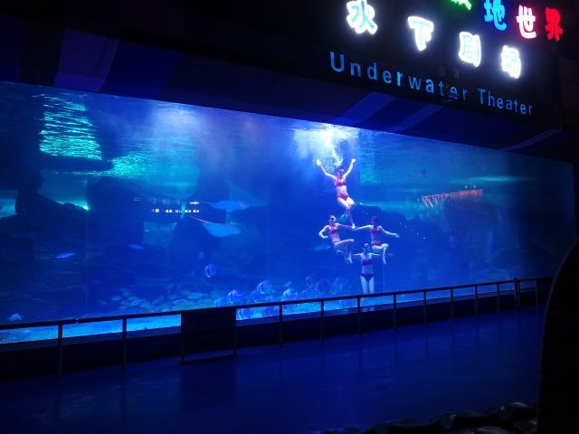 泉城欧乐堡海洋极地世界