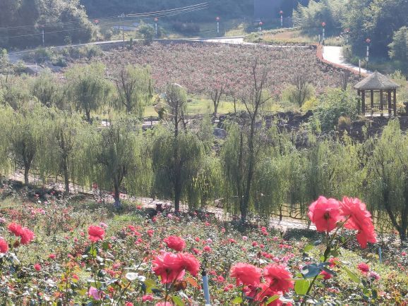 贵州农业博览园