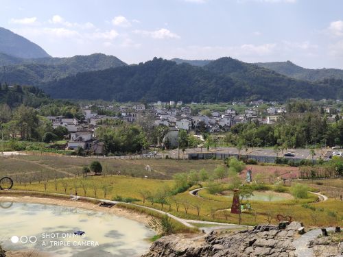 寒武纪石林景区