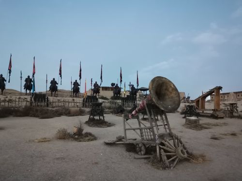 红玛瑙枸杞观光园