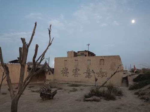 红玛瑙枸杞观光园