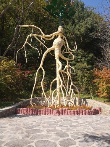 丹东天桥沟景区