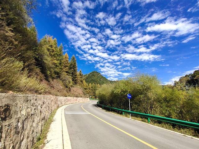 六盘山国家森林公园