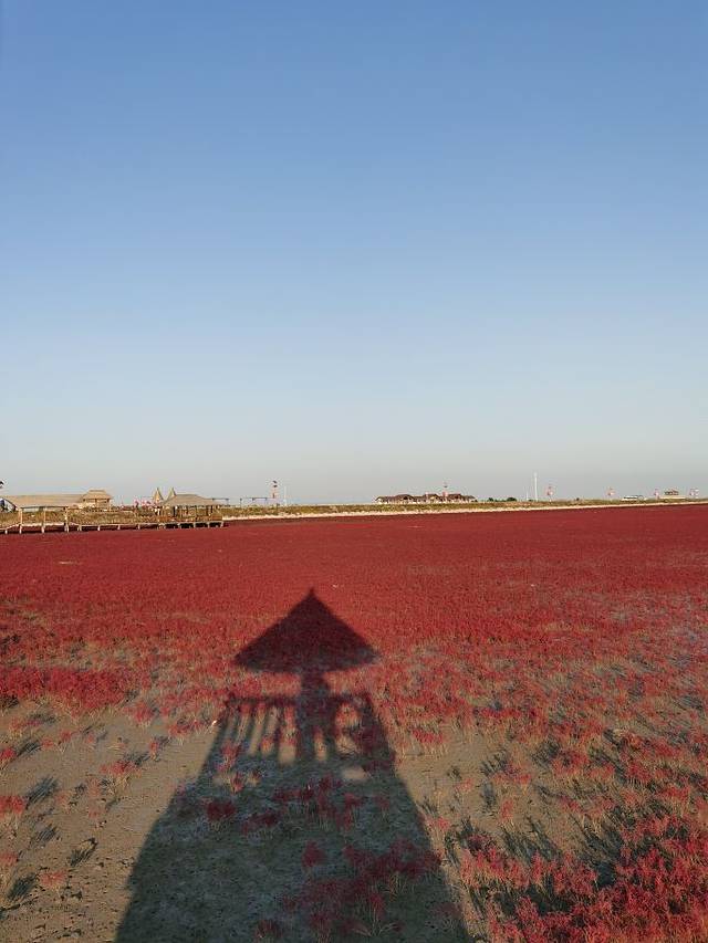 红海滩国家风景廊道