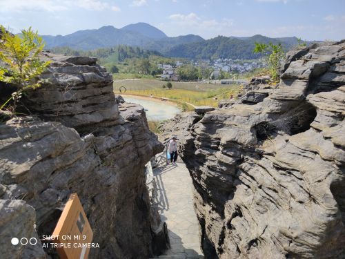 寒武纪石林景区