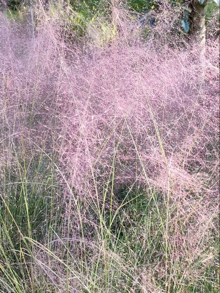 贵州农业博览园