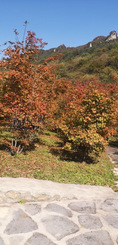 丹东天桥沟景区