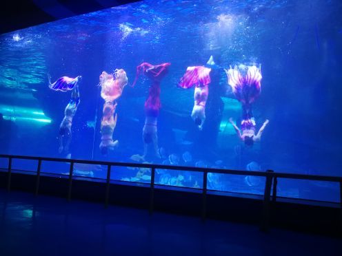 泉城欧乐堡海洋极地世界