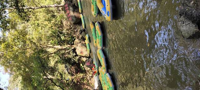 大容山国家森林公园