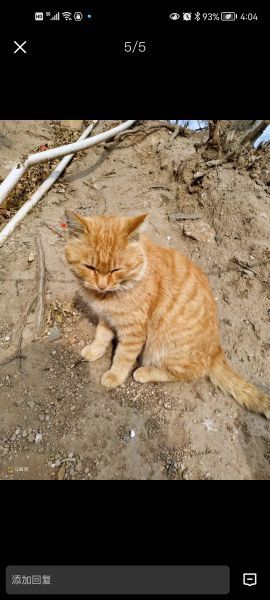 水立方(国家游泳中心)