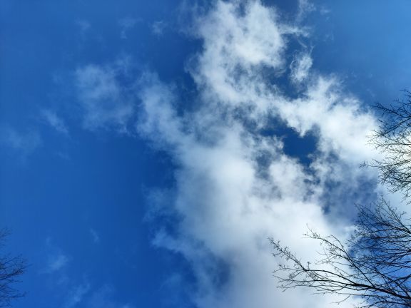 米仓山国家森林公园