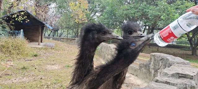 宁波野生动物园