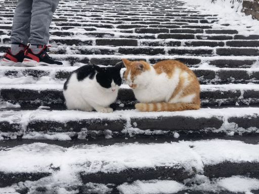 慕田峪长城箱式索道