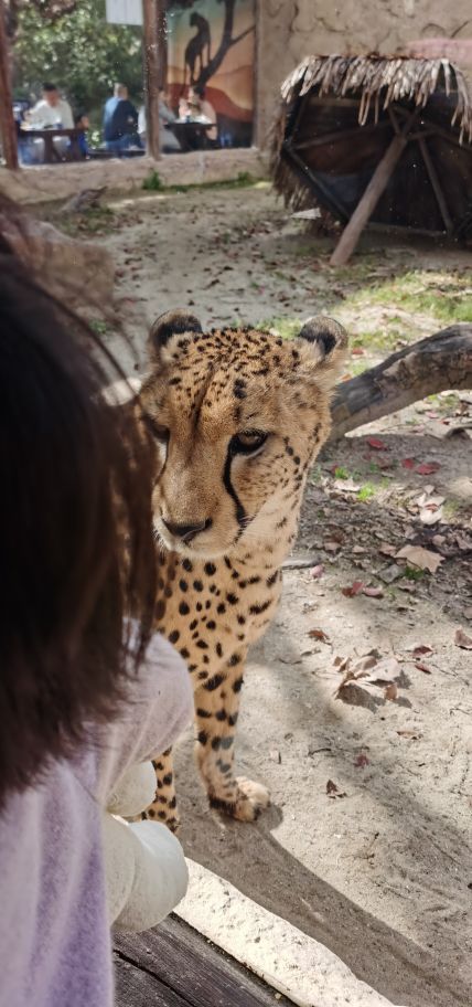 上海野生动物园