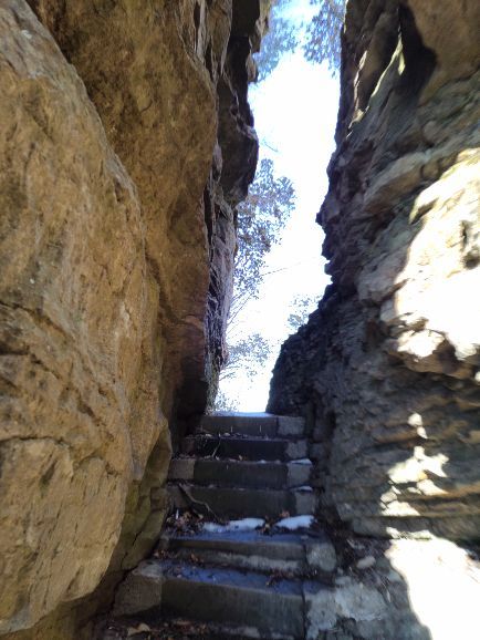 米仓山国家森林公园