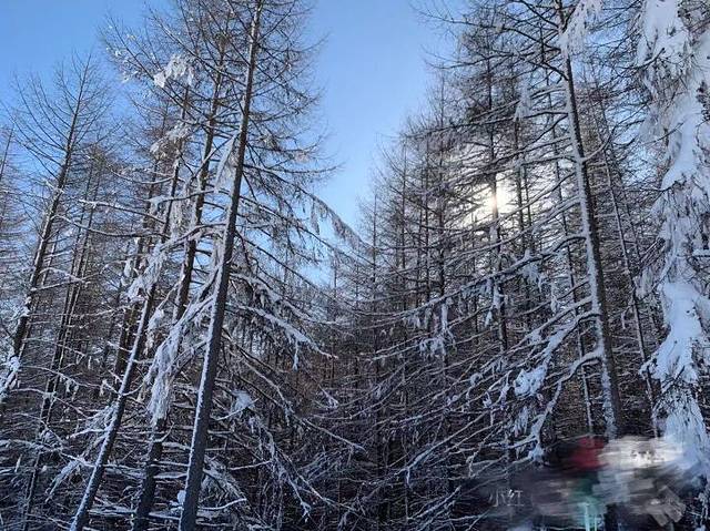 神农架中和国际滑雪场