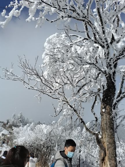 西岭国家森林公园