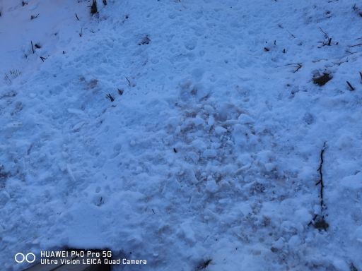 西岭国家森林公园