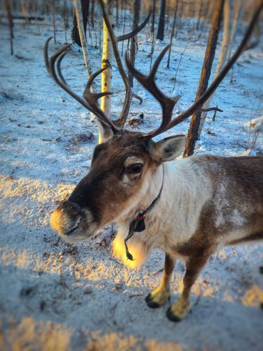 大兴安岭五六火灾纪念馆