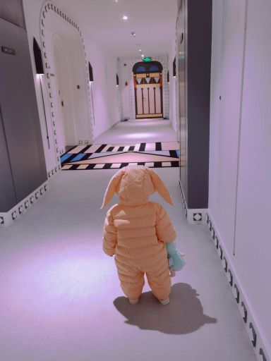 龙之梦动物世界