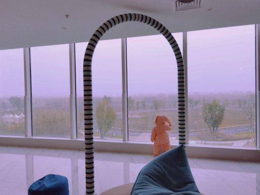 龙之梦动物世界