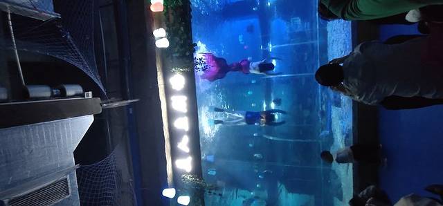 海之语海洋世界