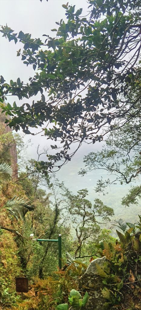 七仙岭温泉国家森林公园