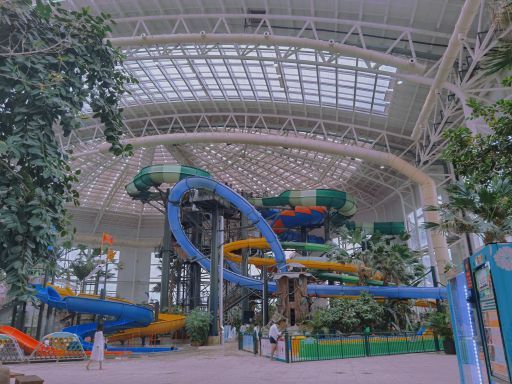 龙之梦动物世界