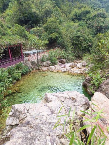 南海湾森林生态园