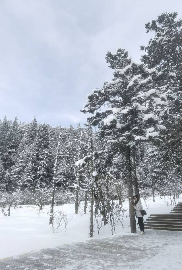 九寨沟西部卓玛烤羊晚会