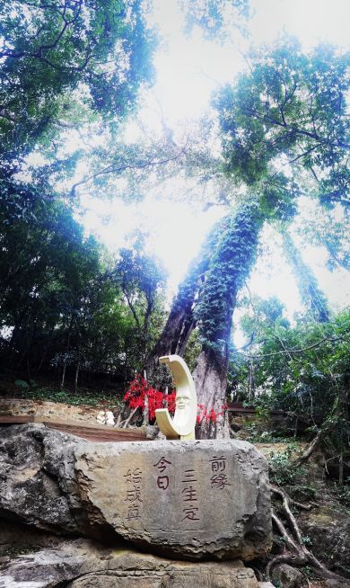 七仙岭温泉国家森林公园