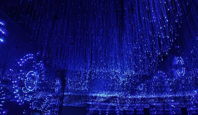 黄浦江游览（东方明珠码头）