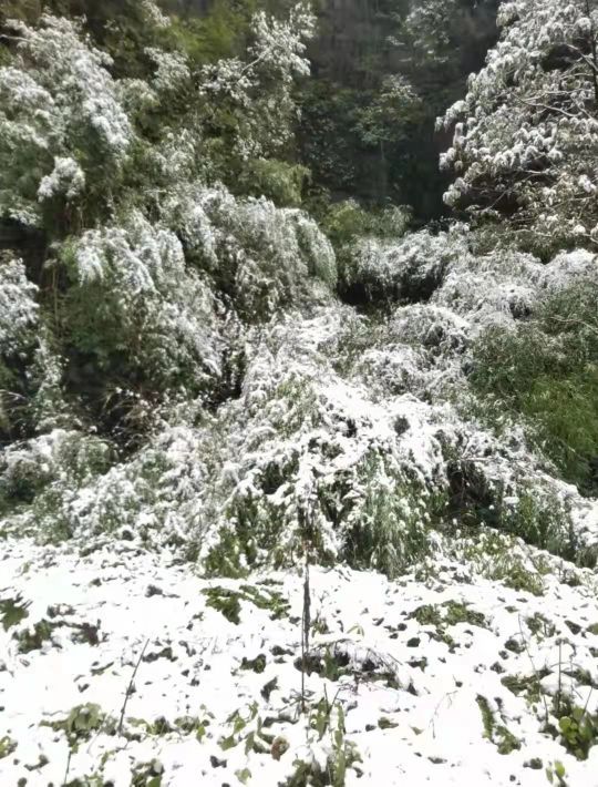 武隆喀斯特旅游区