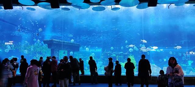 昆明融创海世界