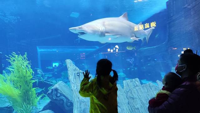 昆明融创海世界