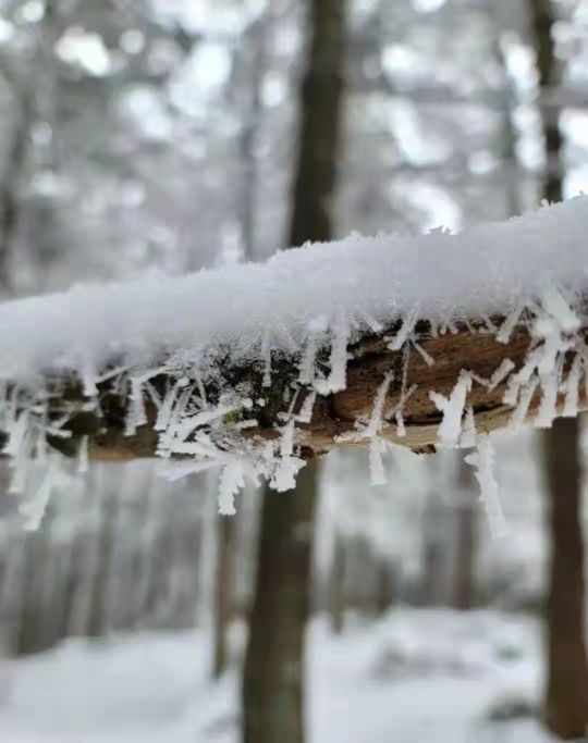 武隆喀斯特旅游区