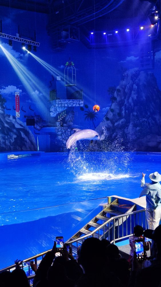 昆明融创海世界