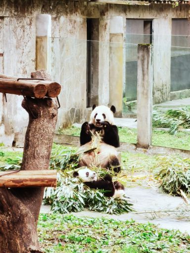 重庆动物园
