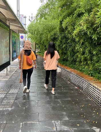 WFC会仙楼观景台