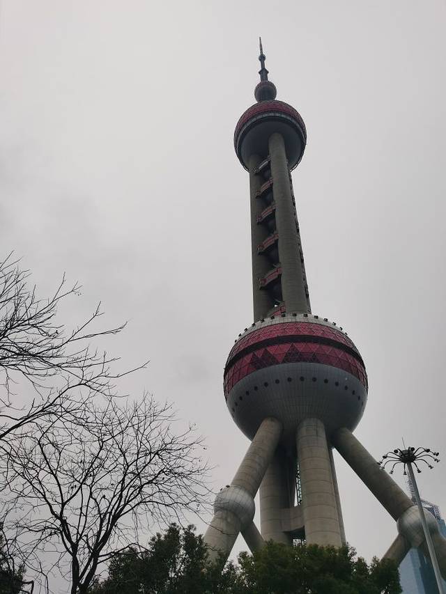 黄浦江游览（东方明珠码头）