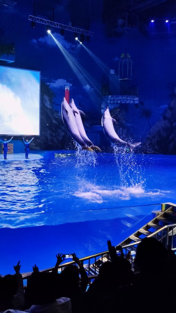 昆明融创海世界