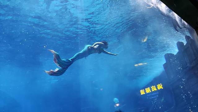 昆明融创海世界